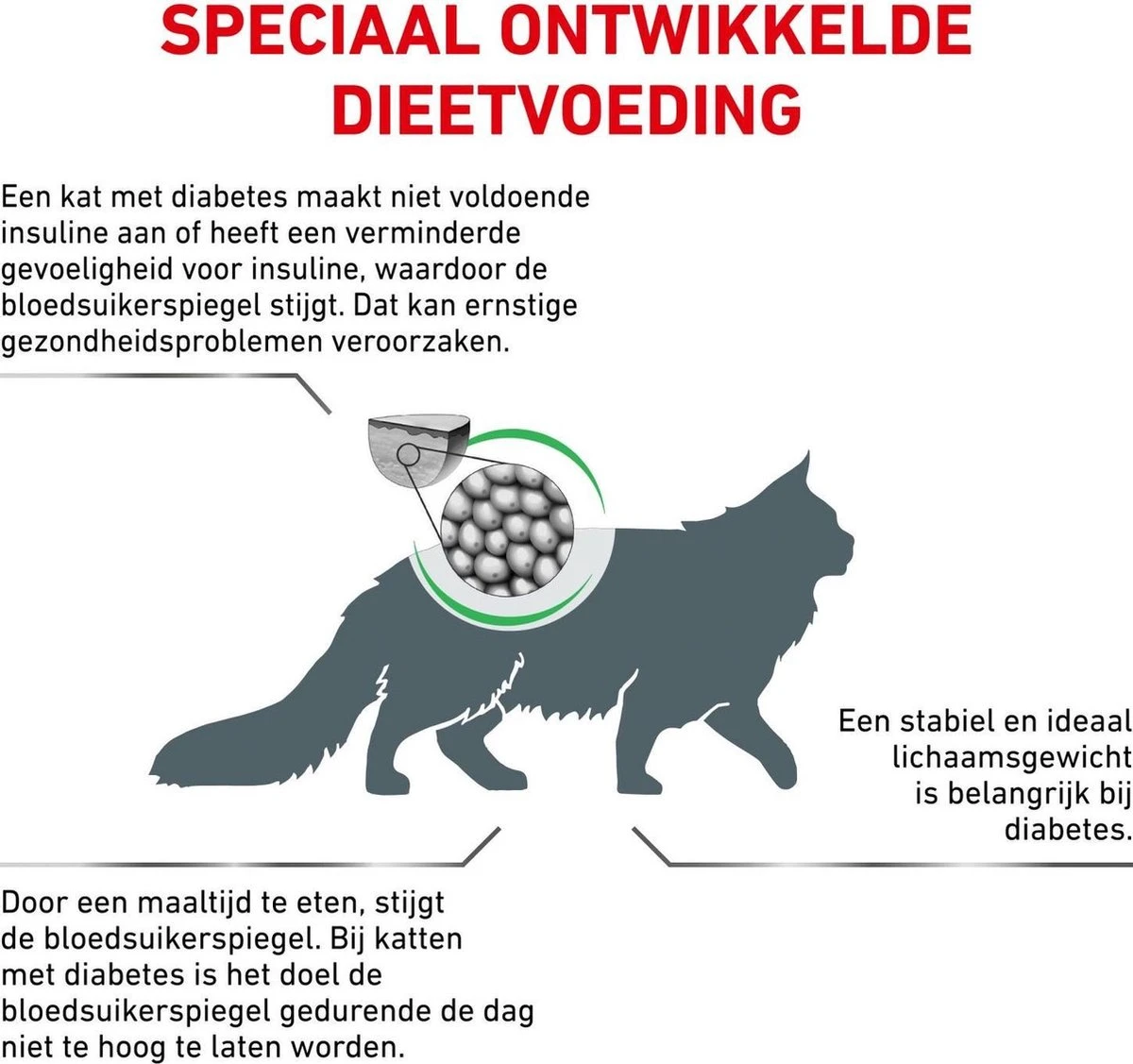 Royal Canin Diabetic - Kattenvoer - 3,5 Kg 4 Royal Canin Diabetic - Kattenvoer - 3,5 Kg - Image 4