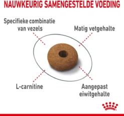 Royal Canin Appetite Control Care - Kattenvoer - 2 Kg 19 Royal Canin Appetite Control Care - Kattenvoer - 2 Kg -Merkloos Verkoop 1200x1128 5