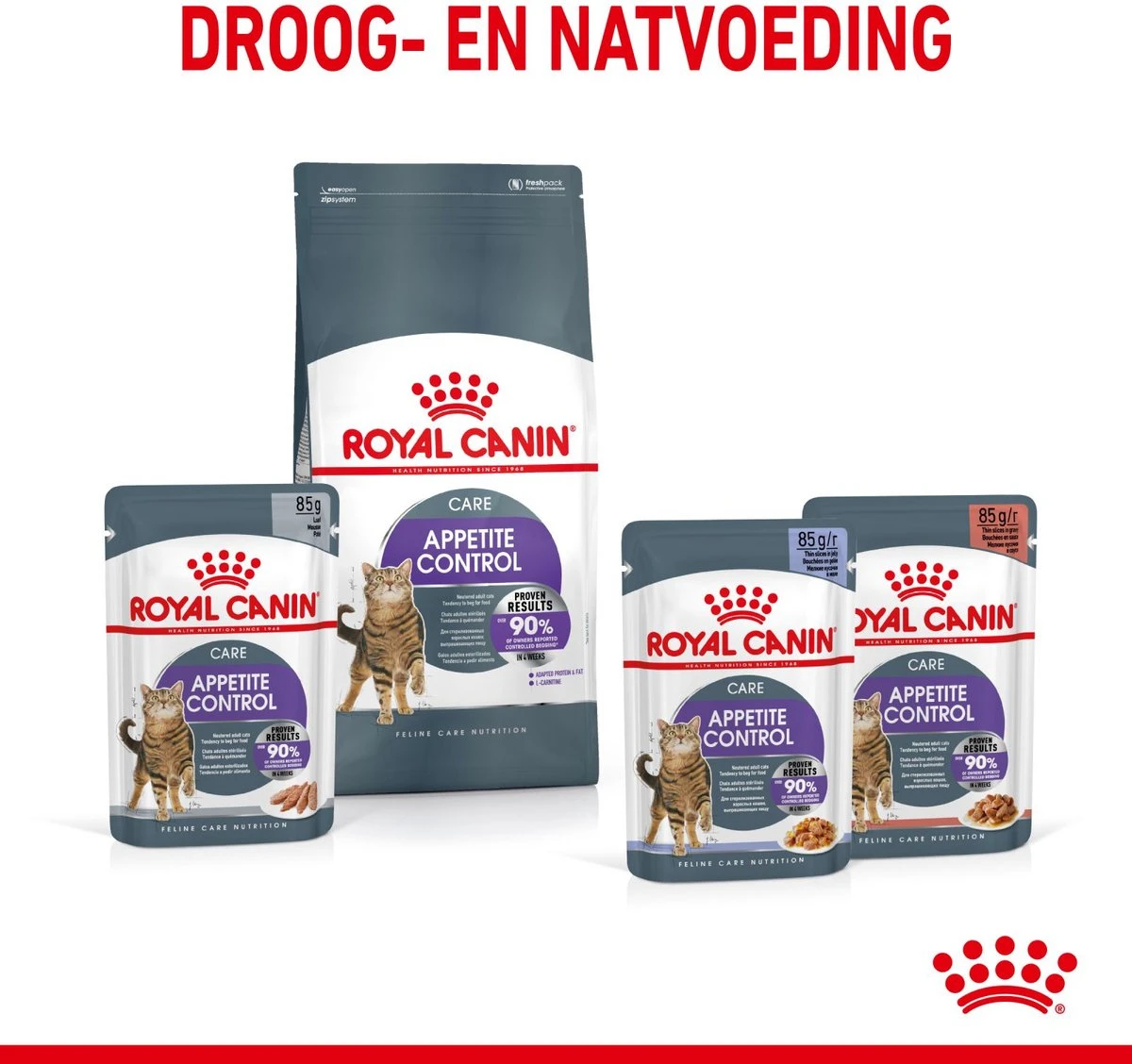 Royal Canin Appetite Control Care - Kattenvoer - 2 Kg 11 Royal Canin Appetite Control Care - Kattenvoer - 2 Kg - Image 11