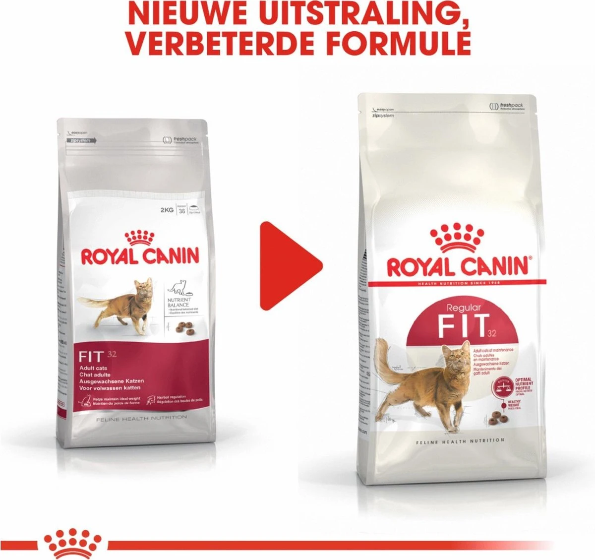 Royal Canin Fit 32 4 Kg 11 Royal Canin Fit 32 4 Kg - Image 11