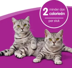 Whiskas Dentabites Kattensnoepjes - Kip - 8 X 40g 12 Whiskas Dentabites Kattensnoepjes - Kip - 8 X 40g -Merkloos Verkoop 1200x1129 7