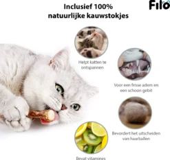 Filo Kattenspeelgoed Set 30 Stuks - Kattenspeeltje Kattentunnel - Kattenhengel - Kattenveertjes - Vis Met Kattenkruid - Kattenspeeltjes Intelligentie Kitten - Interactief Speelgoed Katten - Poezen Speeltjes -Merkloos Verkoop 1200x1133 3