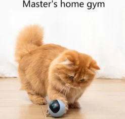 Otiume Interactieve Speelbal - Slimme Interactieve Jaag Speeltje Voor Katten - Kattenspeeltjes - Intelligente Jaagbal - AI -USB Oplaadbaar - LED - Blauw 11 Otiume Interactieve Speelbal - Slimme Interactieve Jaag Speeltje Voor Katten - Kattenspeeltjes - Intelligente Jaagbal - AI -USB Oplaadbaar - LED - Blauw -Merkloos Verkoop 1200x1137 5