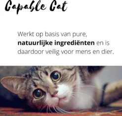 Capable Cat Vlooienband Kat | Vlooien | Luizen | Teken | Mijten | 8 Maanden Bescherming | Katten -Merkloos Verkoop 1200x1142 2