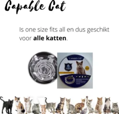 Capable Cat Vlooienband Kat | Vlooien | Luizen | Teken | Mijten | 8 Maanden Bescherming | Katten -Merkloos Verkoop 1200x1142 3