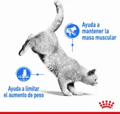Royal Canin Light Weight Care - 3 Kg -Merkloos Verkoop 1200x1143 3