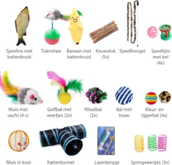 Filo Kattenspeelgoed Set 30 Stuks - Kattenspeeltje Kattentunnel - Kattenhengel - Kattenveertjes - Vis Met Kattenkruid - Kattenspeeltjes Intelligentie Kitten - Interactief Speelgoed Katten - Poezen Speeltjes -Merkloos Verkoop 1200x1145 6