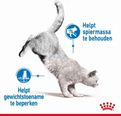 Royal Canin Light Weight Care - 3 Kg -Merkloos Verkoop 1200x1146 2