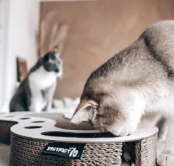 Interactief Design Krabspeelgoed Voor Katten Van Duurzaam Karton - District 70 SNAKE - Zwart -Merkloos Verkoop 1200x1146 3