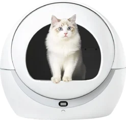 Petree Dome- Zelfreinigende Kattenbak - Automatisch - Katten - Anti-geur - 60 X 35 X 60 Cm