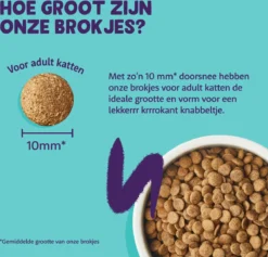 Edgard & Cooper Kattenvoer Adult Zalm 4 Kg 15 Edgard & Cooper Kattenvoer Adult Zalm 4 Kg -Merkloos Verkoop 1200x1149