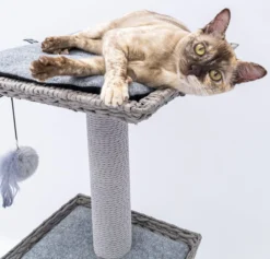 Petrebels Caribbean Love 141 Krabpaal - Grijs - 141 Cm - Natuurlijke Materialen 23 Petrebels Caribbean Love 141 Krabpaal - Grijs - 141 Cm - Natuurlijke Materialen -Merkloos Verkoop 1200x1151 2