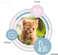 Husse Kattunge Kitten - 2 Kg - Kittenvoer - Kattenvoer - Kittenbrokjes -Merkloos Verkoop 1200x1153