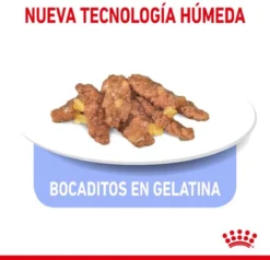 Royal Canin Feline Sterilised Indoor In Gravy -Merkloos Verkoop 1200x1155