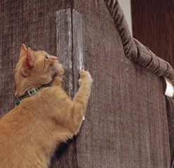 Bescherming Tegen Krab Schade Van Katten - 2 Stuks - Konijnen - Honden - Meubel Bescherming - Cat Scratchers - Furniture - Couch Protector - Katten Nagels - Huisdieren Veiligheid - Meubel - Interieur -Merkloos Verkoop 1200x1155 5