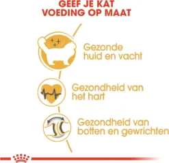 Royal Canin Ragdoll Adult - Kattenvoer - 2 Kg -Merkloos Verkoop 1200x1157 3