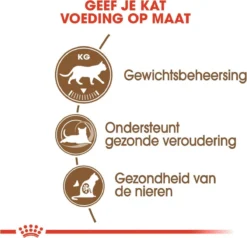 Royal Canin Ageing Sterilised 12+ - Kattenvoer - 2 Kg -Merkloos Verkoop 1200x1157 4