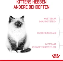 Royal Canin Kitten - Kittenvoer - 4 Kg -Merkloos Verkoop 1200x1159 11