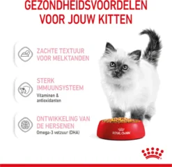 Royal Canin Kitten In Jelly - Kattenvoer - 1020 G 24 Royal Canin Kitten In Jelly - Kattenvoer - 1020 G -Merkloos Verkoop 1200x1159 18