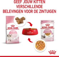 Royal Canin Kitten In Jelly - Kattenvoer - 1020 G 27 Royal Canin Kitten In Jelly - Kattenvoer - 1020 G -Merkloos Verkoop 1200x1159 19