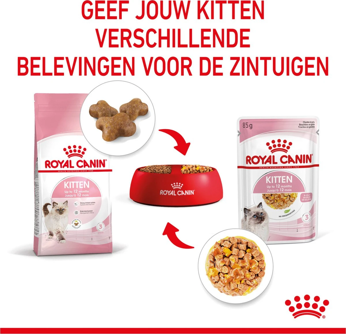 Royal Canin Kitten In Jelly - Kattenvoer - 1020 G 8 Royal Canin Kitten In Jelly - Kattenvoer - 1020 G - Image 8