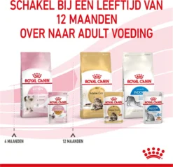 Royal Canin Kitten In Jelly - Kattenvoer - 1020 G 32 Royal Canin Kitten In Jelly - Kattenvoer - 1020 G -Merkloos Verkoop 1200x1159 20
