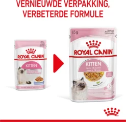 Royal Canin Kitten In Jelly - Kattenvoer - 1020 G 34 Royal Canin Kitten In Jelly - Kattenvoer - 1020 G -Merkloos Verkoop 1200x1159 22