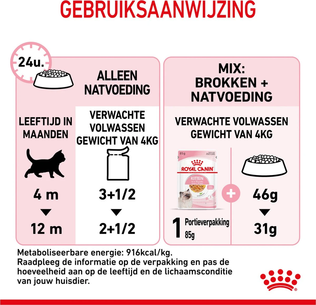 Royal Canin Kitten In Jelly - Kattenvoer - 1020 G 19 Royal Canin Kitten In Jelly - Kattenvoer - 1020 G - Image 19