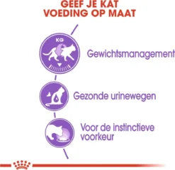 Royal Canin Feline Sterilised In Gravy (12X85 GR) -Merkloos Verkoop 1200x1159