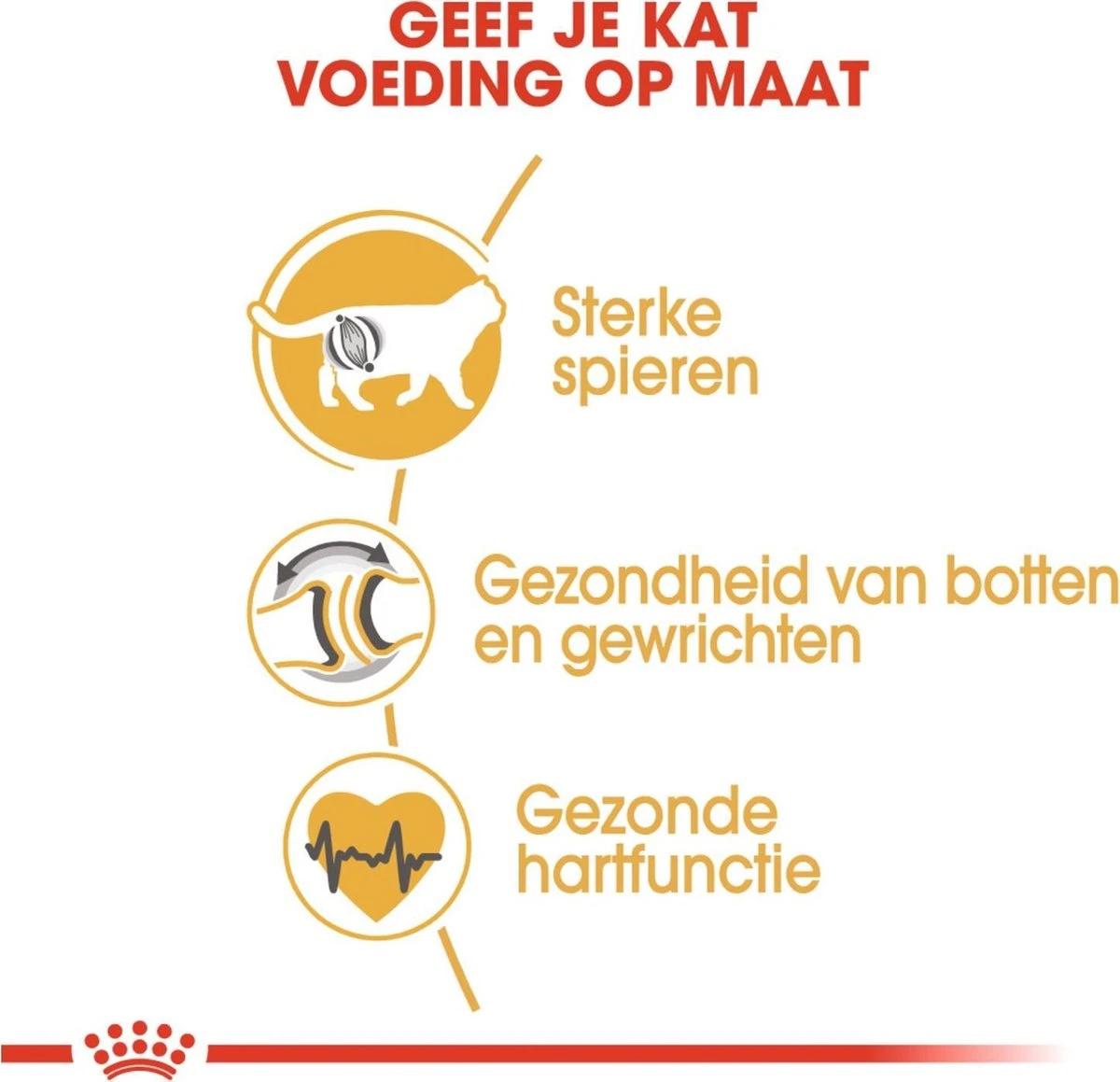 Royal Canin British Shorthair Adult - Kattenvoer - 4 Kg 4 Royal Canin British Shorthair Adult - Kattenvoer - 4 Kg - Image 4