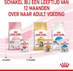 Royal Canin Wet Kitten (12X85 GR) -Merkloos Verkoop 1200x1159 8