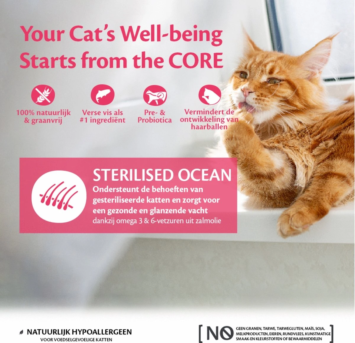 Wellness Core Grain Free Cat Sterilised - Zalm - Kattenvoer - 1.75 Kg 5 Wellness Core Grain Free Cat Sterilised - Zalm - Kattenvoer - 1.75 Kg - Image 5