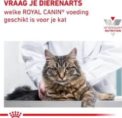 Royal Canin Renal - Kattenvoer - 4 Kg 18 Royal Canin Renal - Kattenvoer - 4 Kg -Merkloos Verkoop 1200x1161 17
