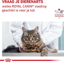 Royal Canin Diabetic - Kattenvoer - 3,5 Kg 21 Royal Canin Diabetic - Kattenvoer - 3,5 Kg -Merkloos Verkoop 1200x1161 18