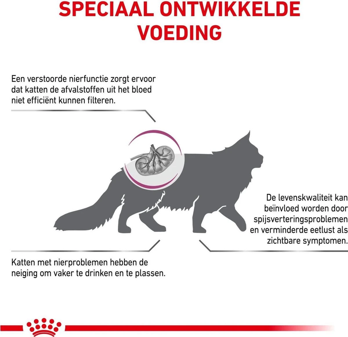 Royal Canin Renal Special - Kattenvoer - 4 Kg 4 Royal Canin Renal Special - Kattenvoer - 4 Kg - Image 4