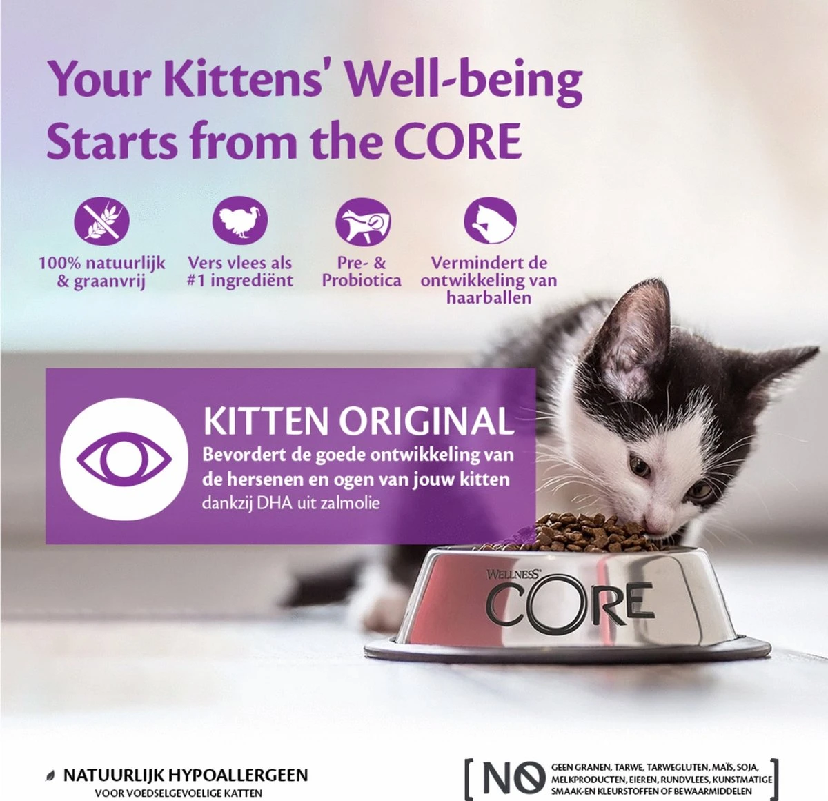 Wellness Core Grain Free Kitten - Kalkoen & Kip - Kattenvoer - 1.75 Kg 4 Wellness Core Grain Free Kitten - Kalkoen & Kip - Kattenvoer - 1.75 Kg - Image 4