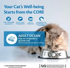 Wellness Core Grain Free Cat Ocean Zalm & Tonijn - Kattenvoer - 1.75 Kg -Merkloos Verkoop 1200x1161 6