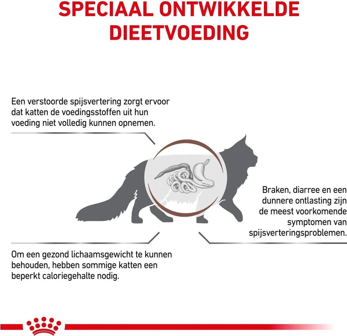 Royal Canin Gastro Intestinal Moderate Calorie - Kattenvoer - 4 Kg 5 Royal Canin Gastro Intestinal Moderate Calorie - Kattenvoer - 4 Kg - Image 5