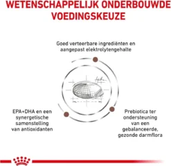 Royal Canin Gastro Intestinal Moderate Calorie - Kattenvoer - 4 Kg 18 Royal Canin Gastro Intestinal Moderate Calorie - Kattenvoer - 4 Kg -Merkloos Verkoop 1200x1162 13