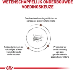 Royal Canin Gastrointestinal Kitten - 2 Kg -Merkloos Verkoop 1200x1162 15