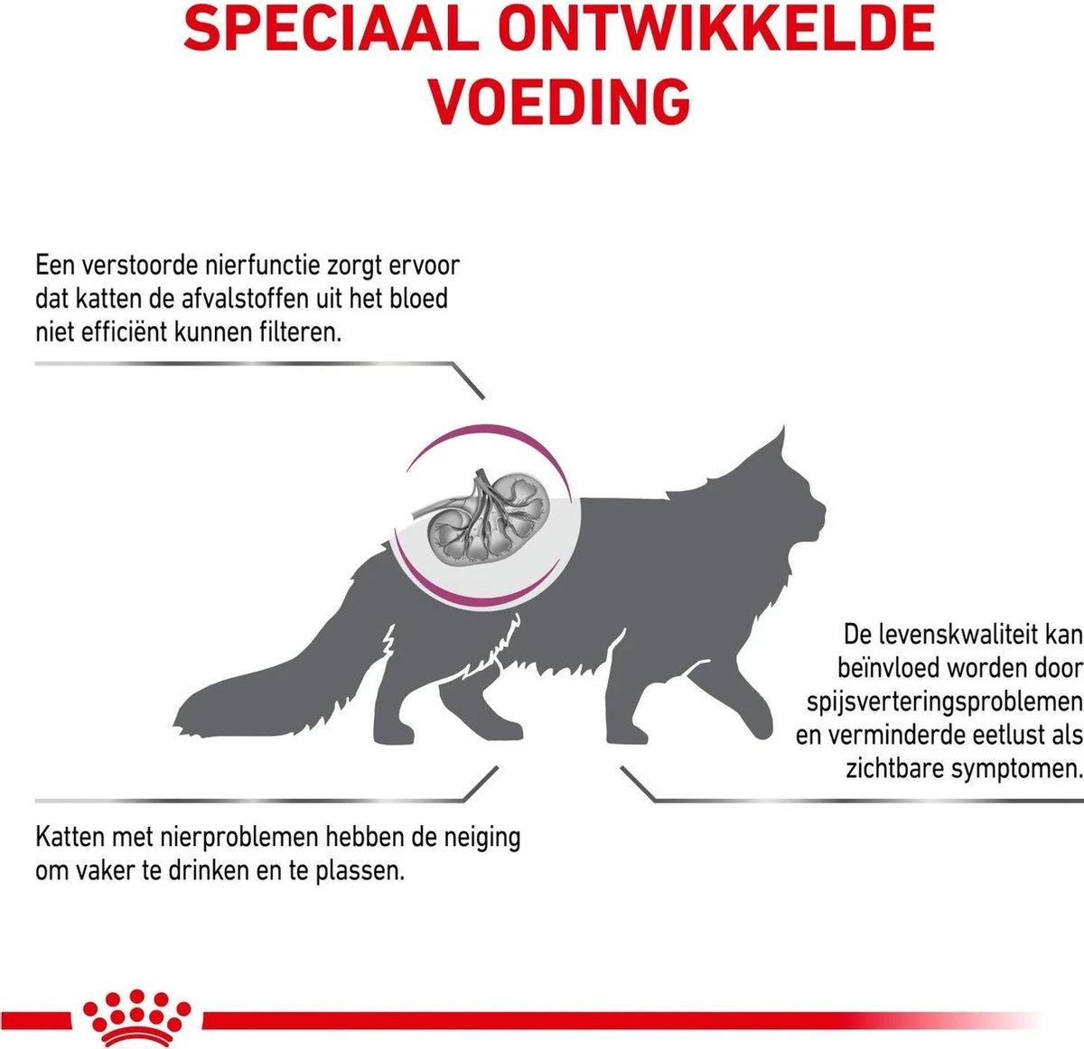 Royal Canin Renal - Kattenvoer - 4 Kg 4 Royal Canin Renal - Kattenvoer - 4 Kg - Image 4