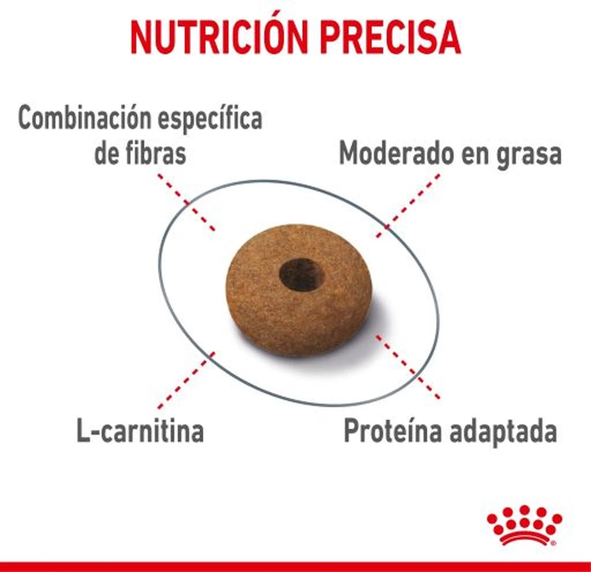 Royal Canin Appetite Control Care - Kattenvoer - 2 Kg 9 Royal Canin Appetite Control Care - Kattenvoer - 2 Kg - Image 9