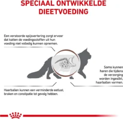 Royal Canin Gastro Intestinal Hairball - Kattenvoer Ter Ondersteuning Bij Haarballen 4 Kg 13 Royal Canin Gastro Intestinal Hairball - Kattenvoer Ter Ondersteuning Bij Haarballen 4 Kg -Merkloos Verkoop 1200x1162 20
