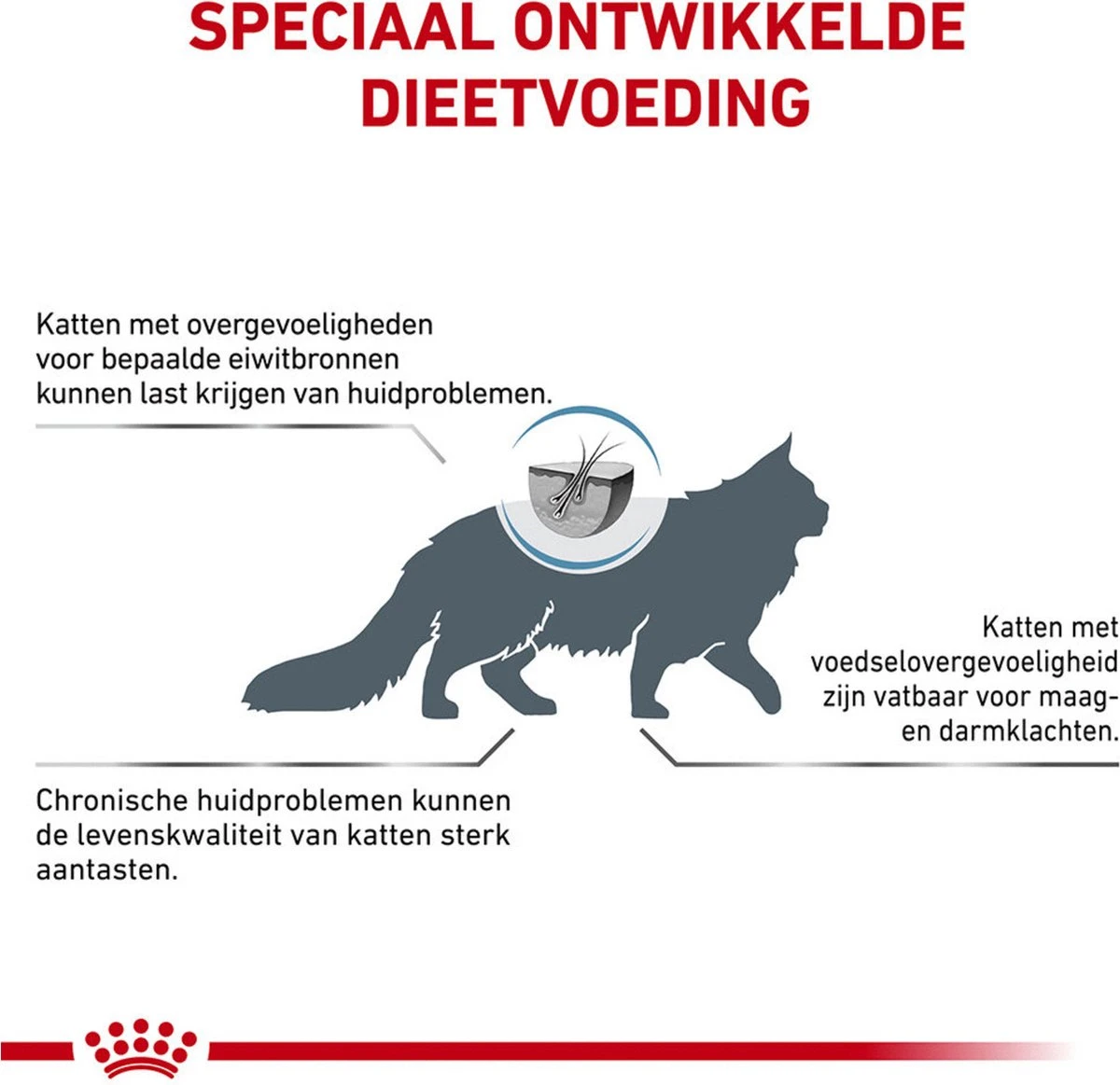 Royal Canin Veterinary Diet Cat Anallergenic - Kattenvoer - 2 Kg 2 Royal Canin Veterinary Diet Cat Anallergenic - Kattenvoer - 2 Kg - Image 2