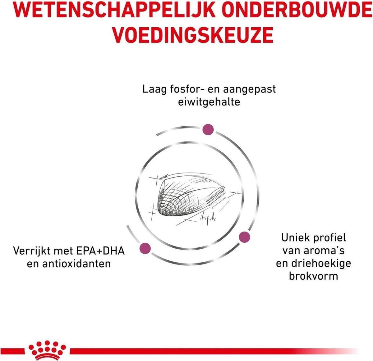 Royal Canin Renal Special - Kattenvoer - 4 Kg 5 Royal Canin Renal Special - Kattenvoer - 4 Kg - Image 5