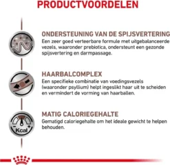 Royal Canin Gastro Intestinal Hairball - Kattenvoer Ter Ondersteuning Bij Haarballen 4 Kg 12 Royal Canin Gastro Intestinal Hairball - Kattenvoer Ter Ondersteuning Bij Haarballen 4 Kg -Merkloos Verkoop 1200x1163 9