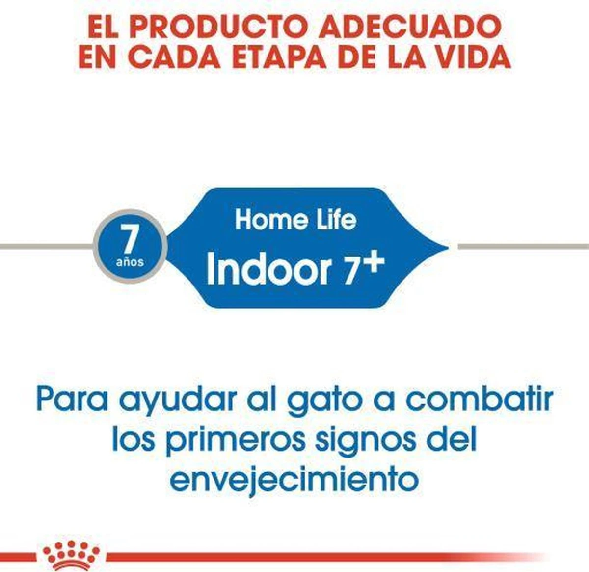 Royal Canin Indoor 7+ - Kattenvoer - 3,5 Kg 7 Royal Canin Indoor 7+ - Kattenvoer - 3,5 Kg - Image 7