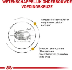 Royal Canin Urinary S/O Kat - Morsels In Gravy - 24 X 85 Gram -Merkloos Verkoop 1200x1165 2