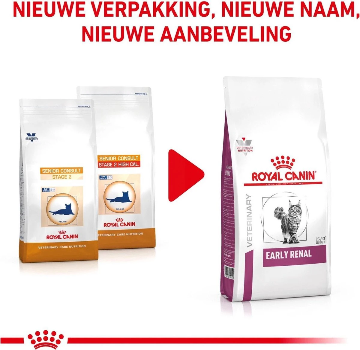 Royal Canin Early Renal - Kat - 6 Kg 2 Royal Canin Early Renal - Kat - 6 Kg - Image 2