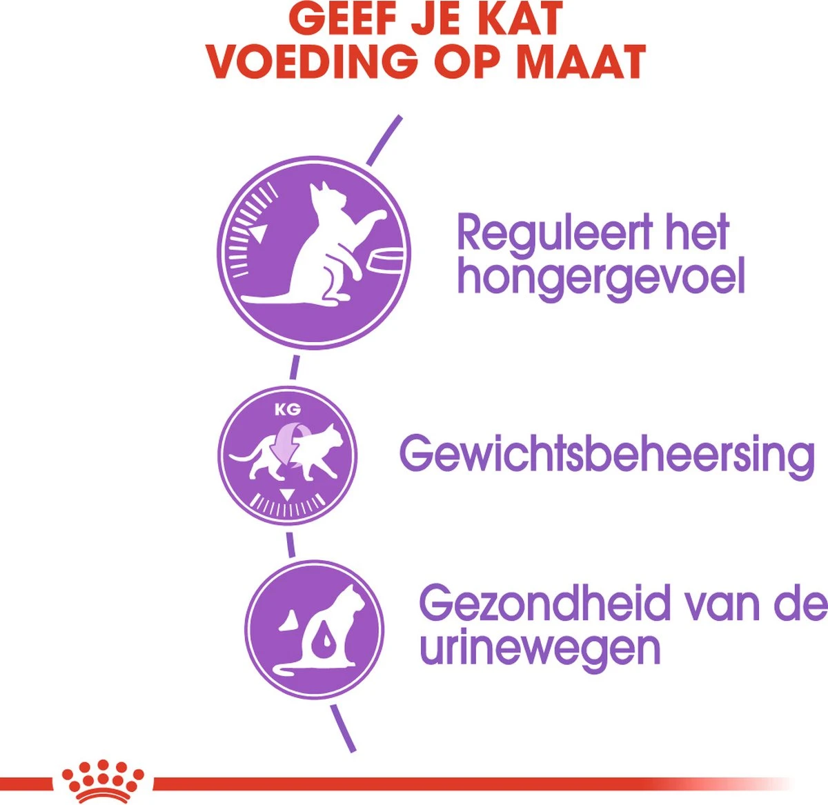 Royal Canin Appetite Control Care - Kattenvoer - 2 Kg 5 Royal Canin Appetite Control Care - Kattenvoer - 2 Kg - Image 5